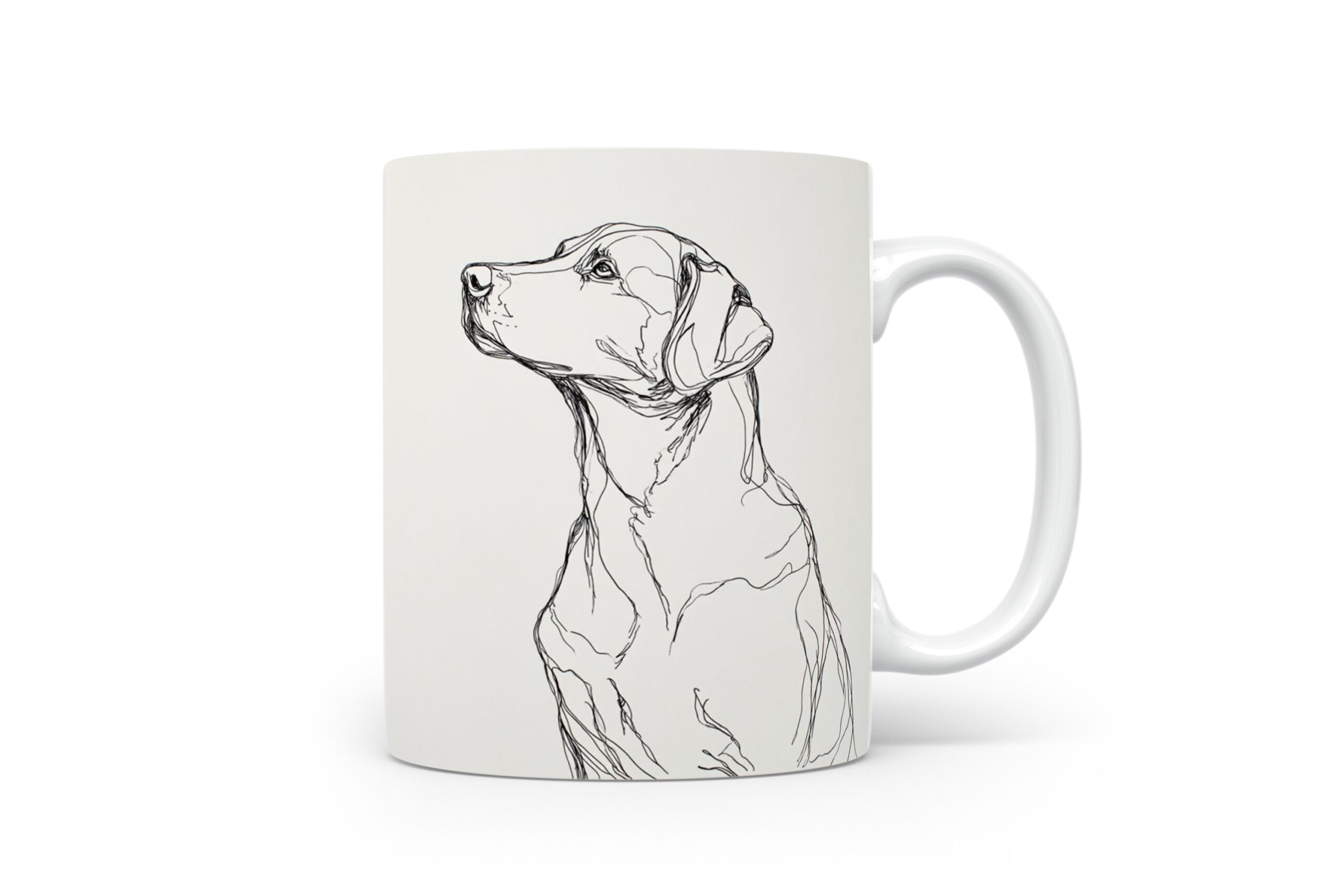 Beker Labrador Retriever Labrador Retriever