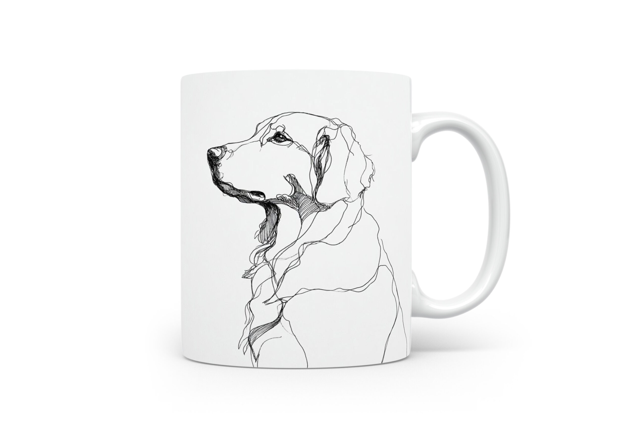 Beker Flatcoated Retriever Flatcoated Retriever