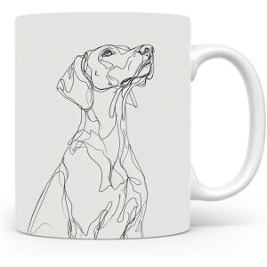 Duitse Staande Korthaar