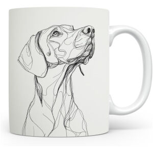 Duitse Staande Korthaar