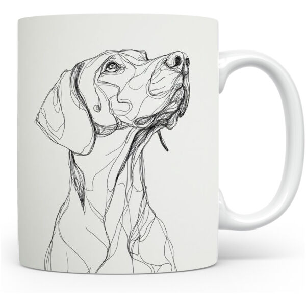 Duitse Staande Korthaar