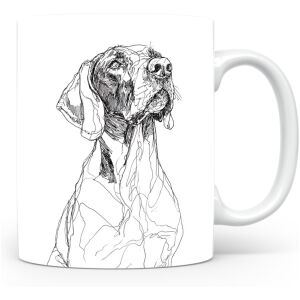 Duitse Staande Korthaar