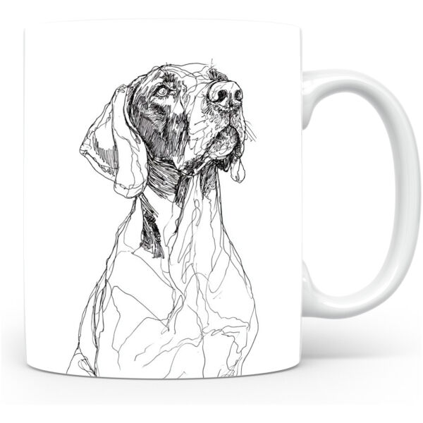 Duitse Staande Korthaar