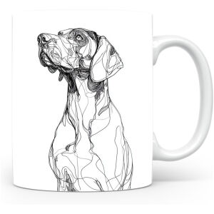 Duitse Staande Korthaar