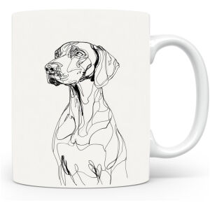 Duitse Staande Korthaar