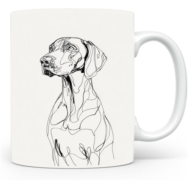 Duitse Staande Korthaar