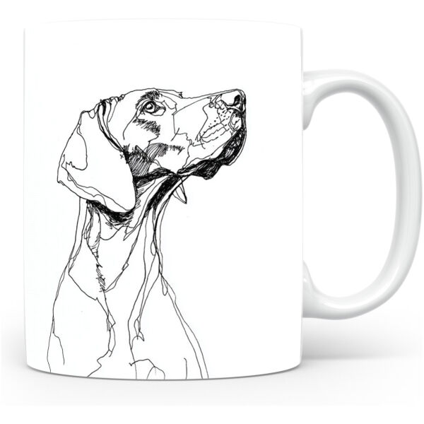 Duitse Staande Korthaar