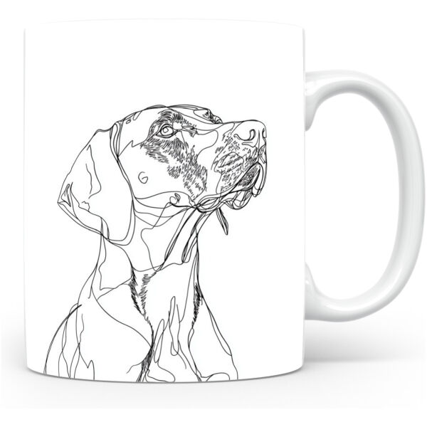 Duitse Staande Korthaar