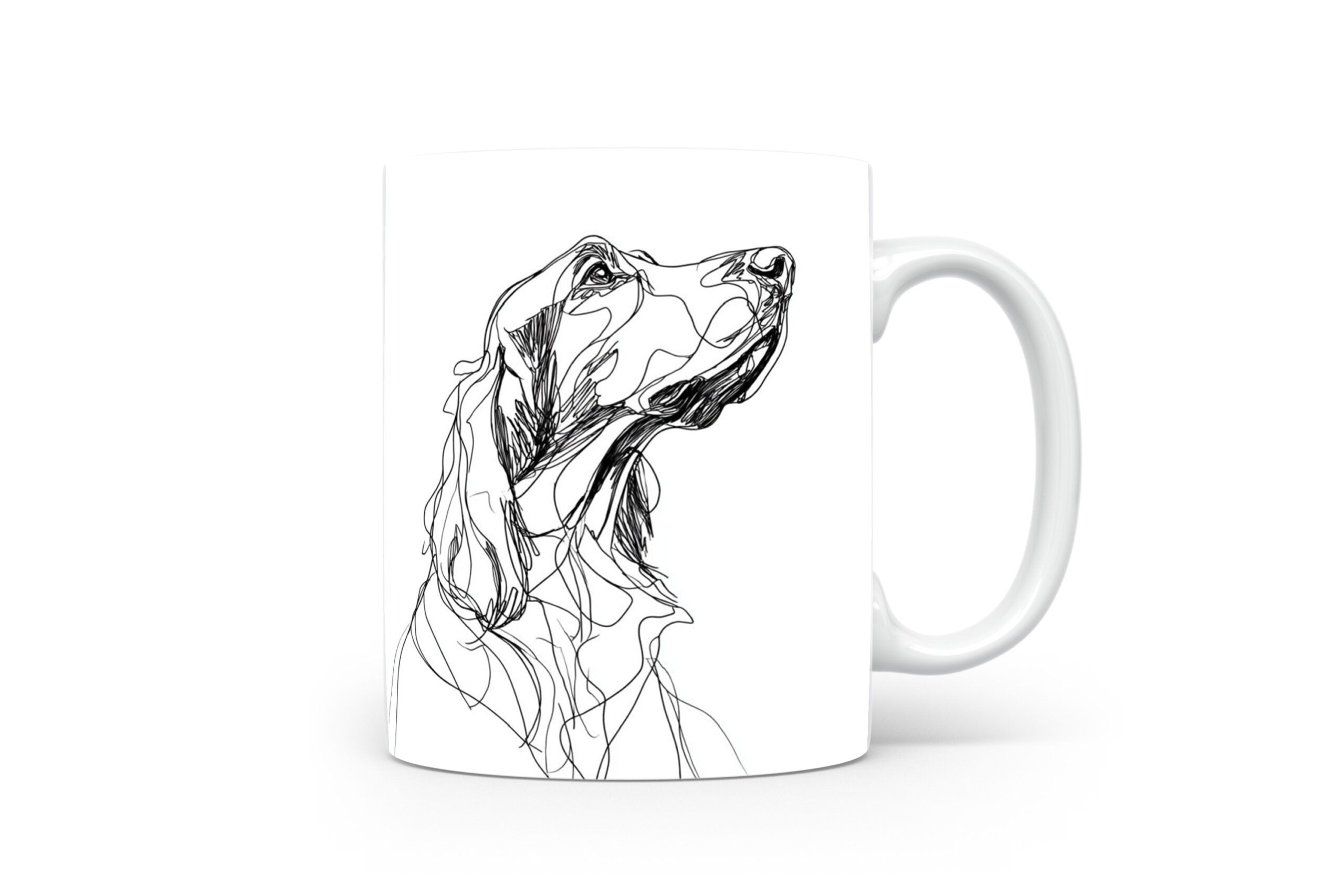 Beker Gordon Setter Gordon Setter