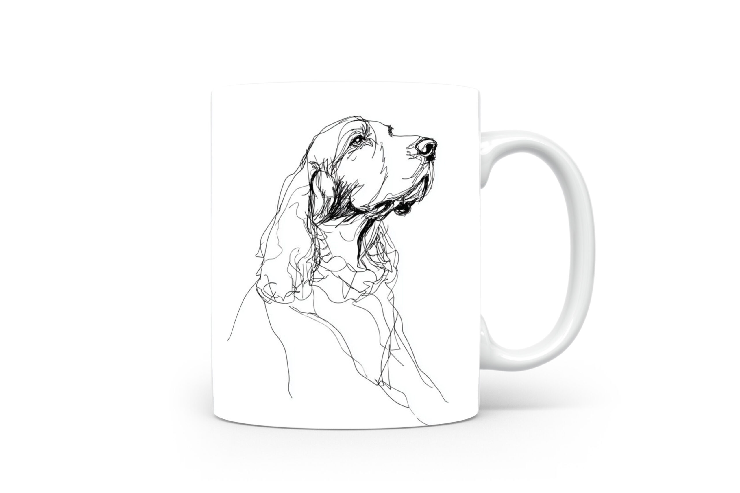 Beker Gordon Setter Gordon Setter