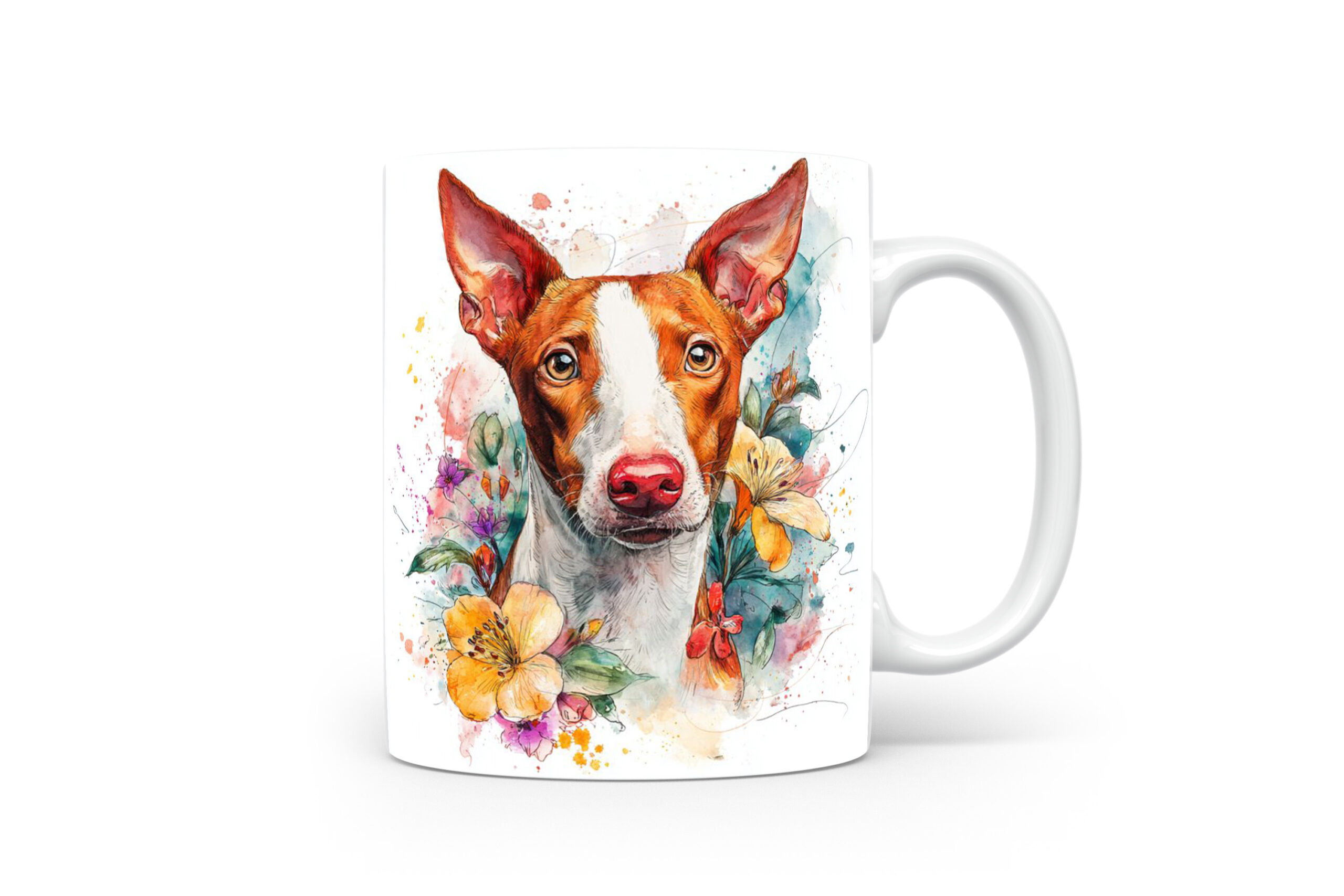 Beker Podenco Ibicenco Podenco Ibicenco