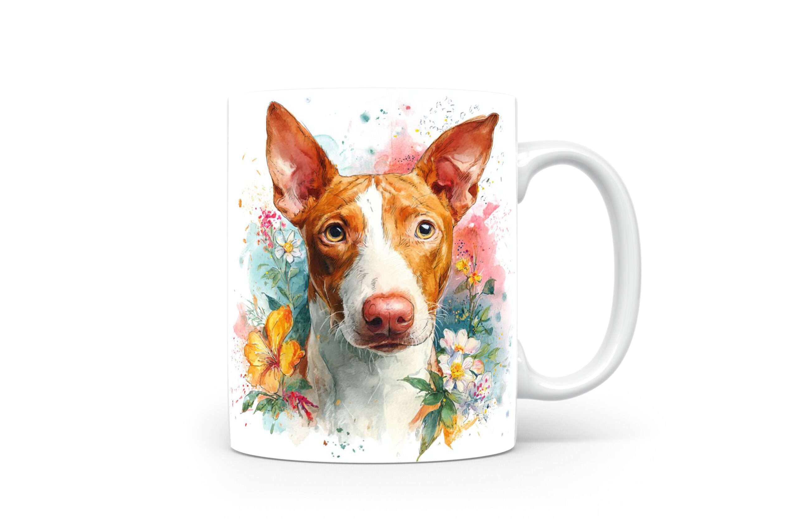 Beker Podenco Ibicenco Podenco Ibicenco