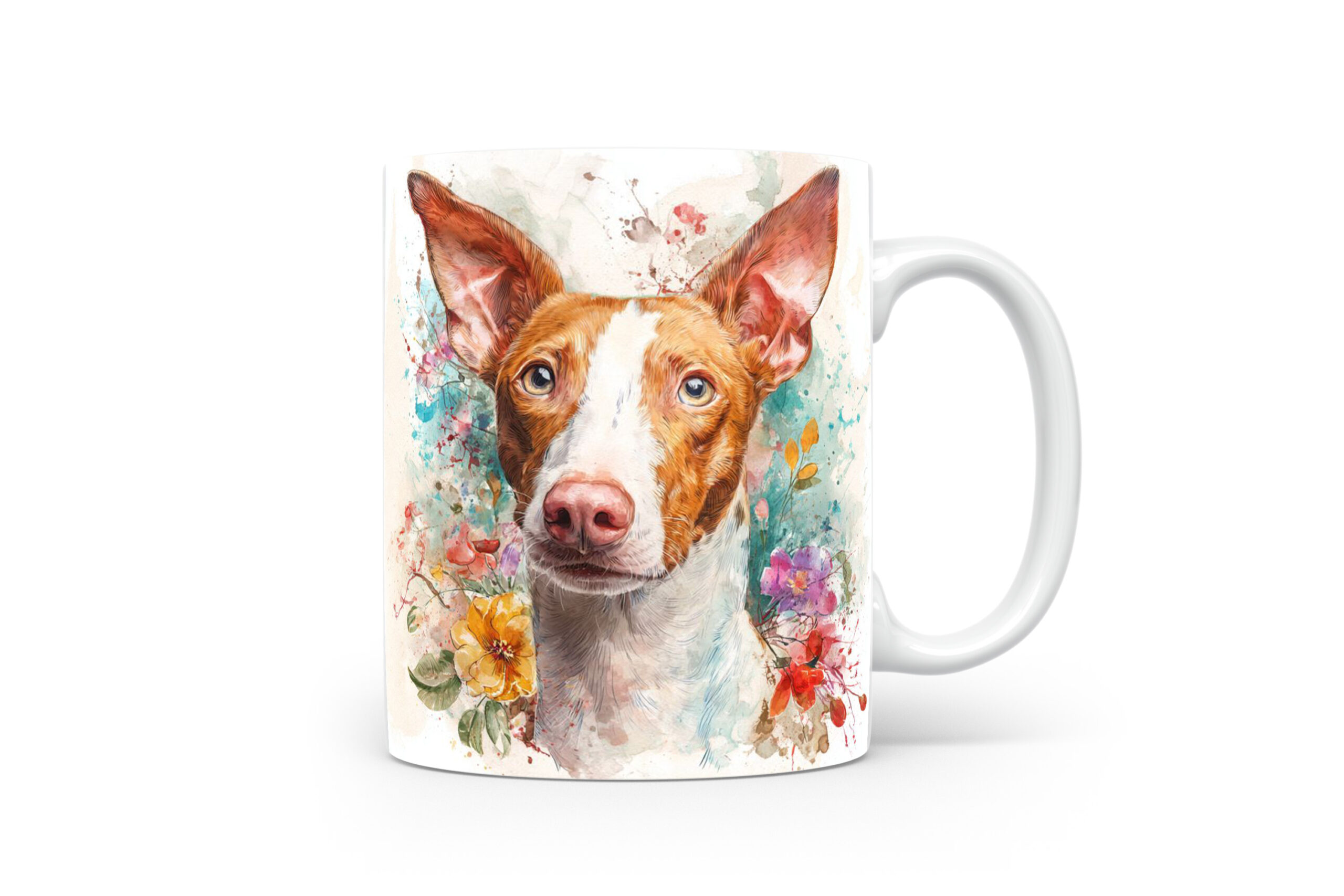 Beker Podenco Ibicenco Podenco Ibicenco