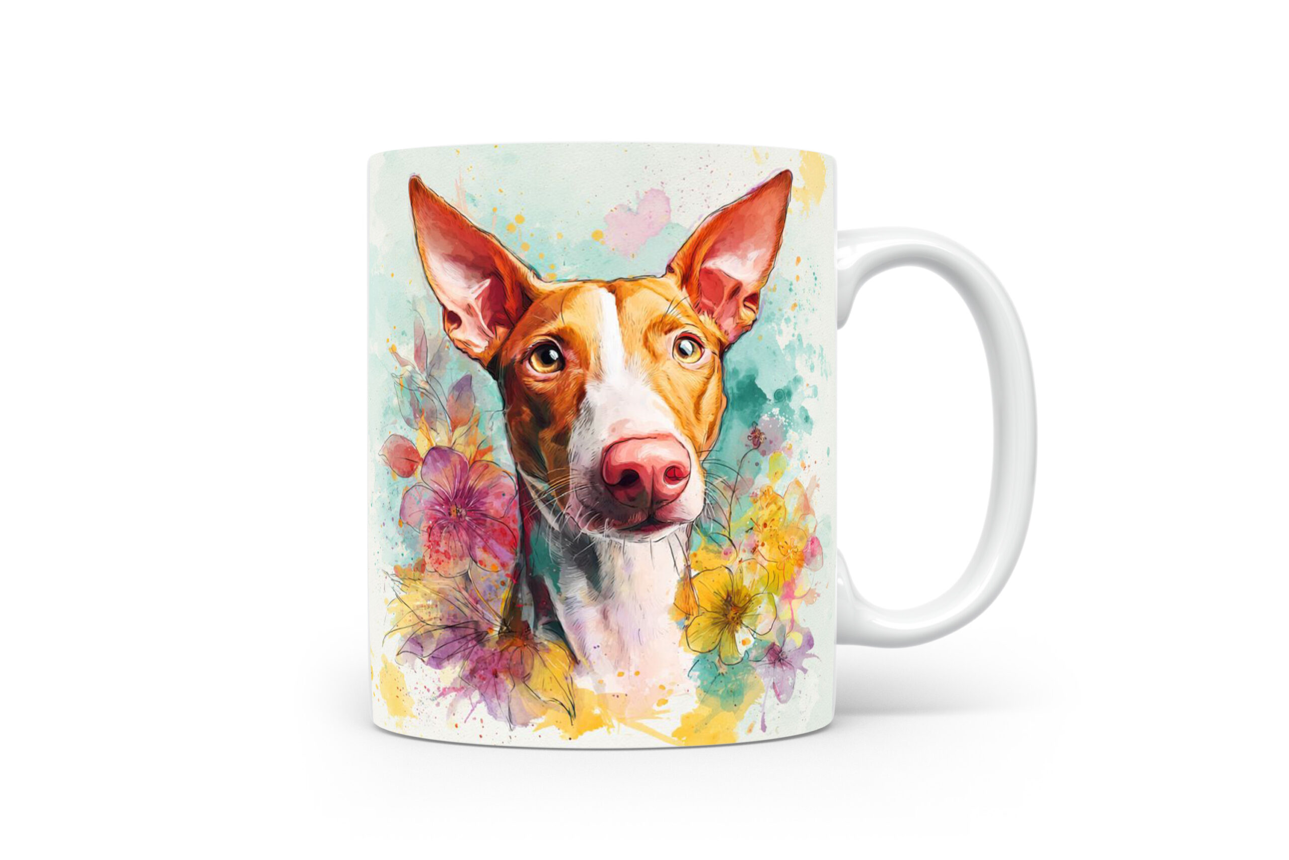 Beker Podenco Ibicenco Podenco Ibicenco