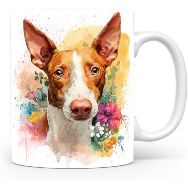Podenco Ibicenco
