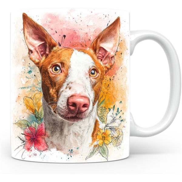 Podenco Ibicenco