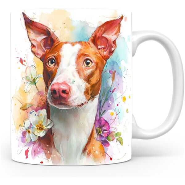 Podenco Ibicenco