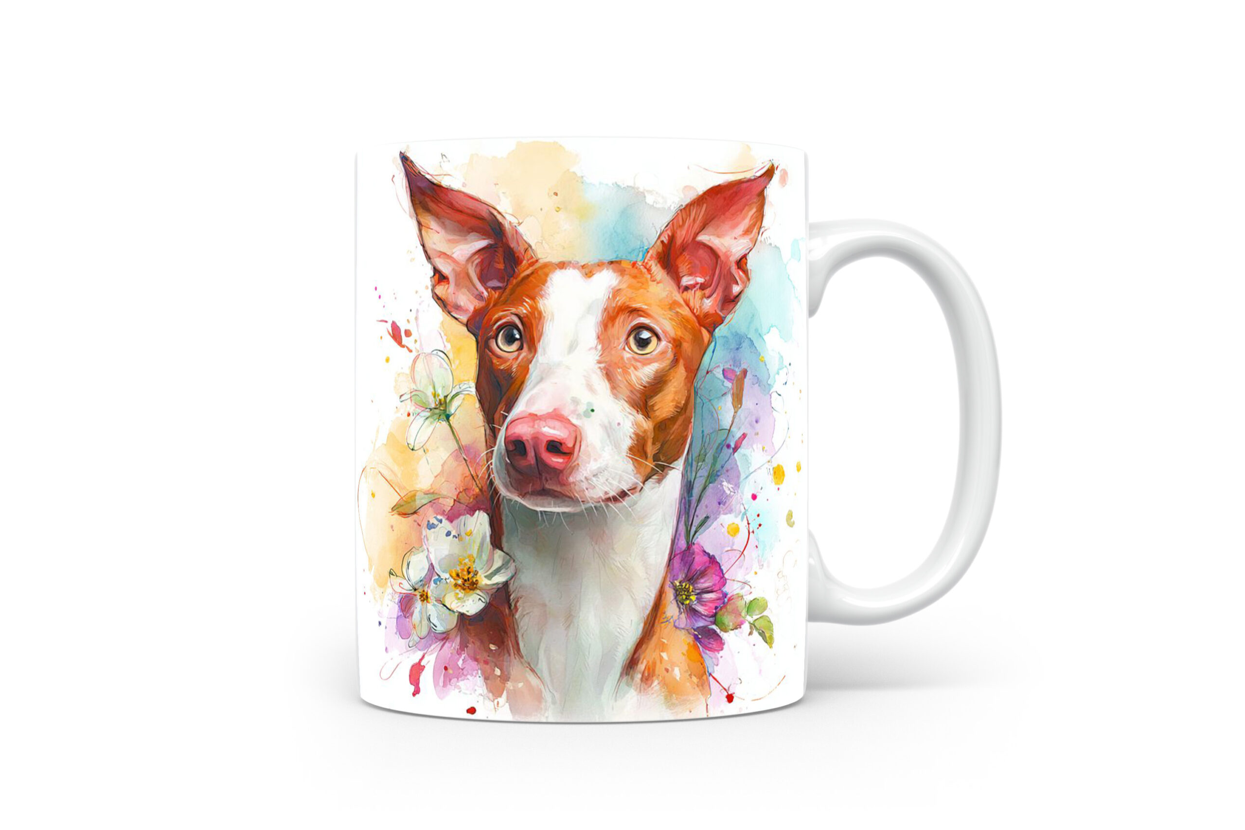 Beker Podenco Ibicenco Podenco Ibicenco