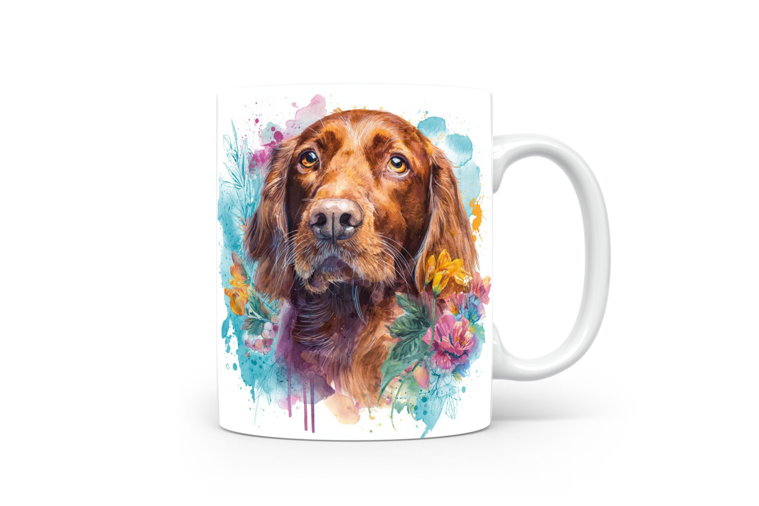 Beker Ierse Setter Ierse Setter