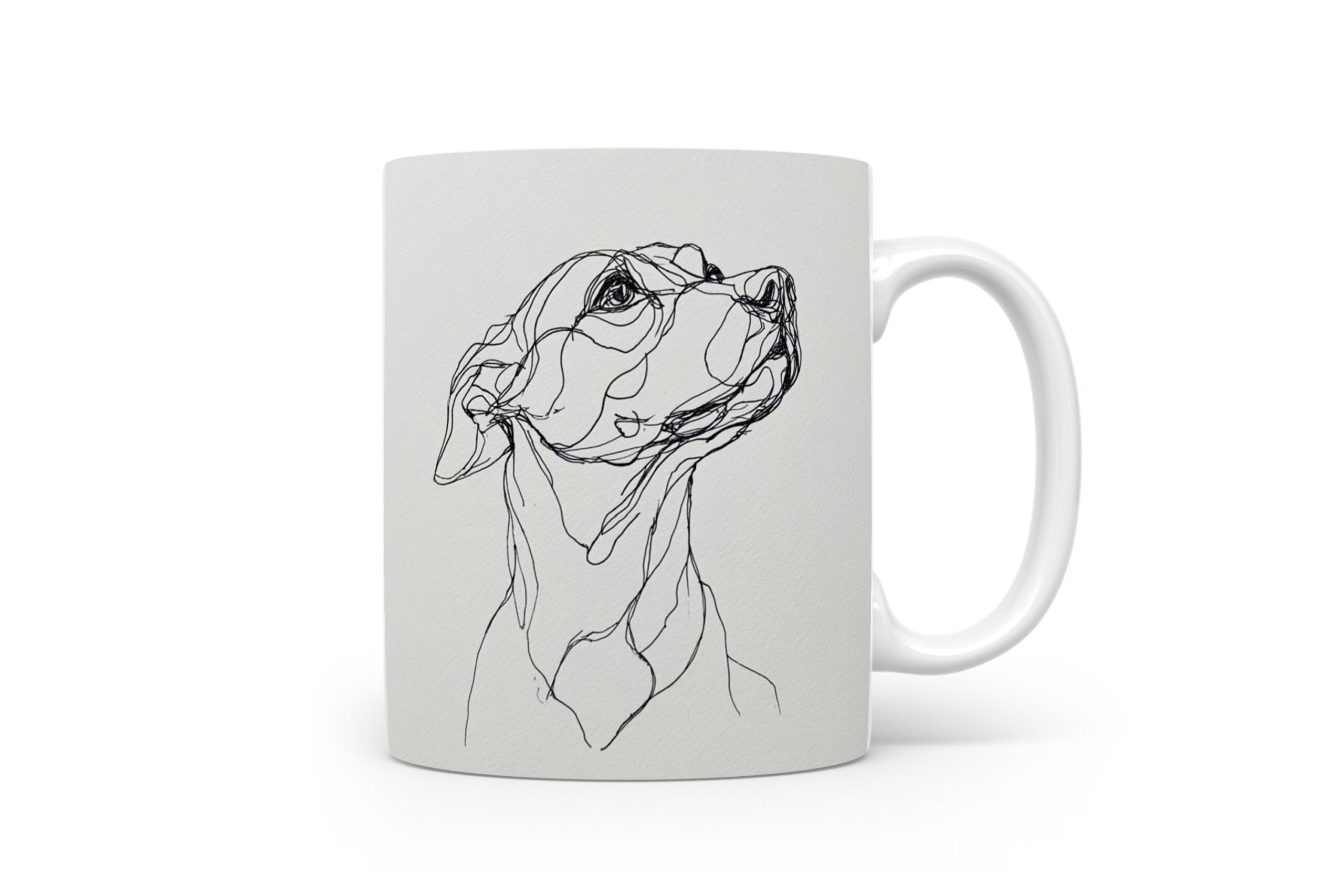 Beker Harrier Harrier