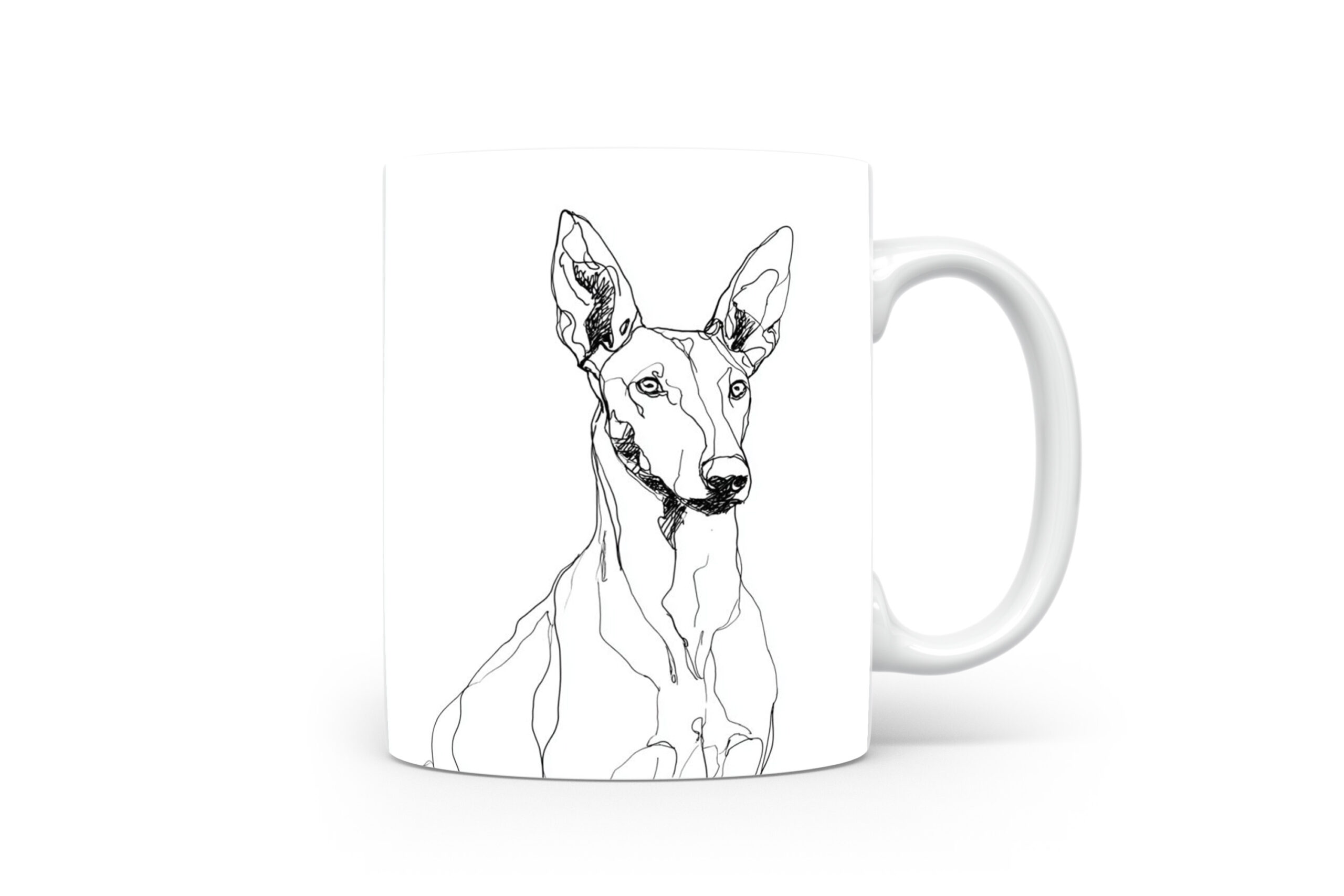 Beker Podenco Ibicenco Podenco Ibicenco