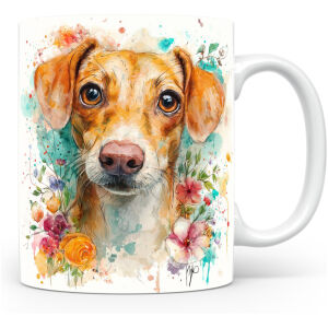 Italiaanse Jachthond (Segugio Italiano)