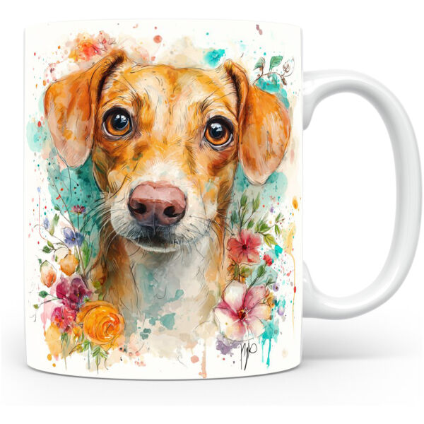 Italiaanse Jachthond (Segugio Italiano)