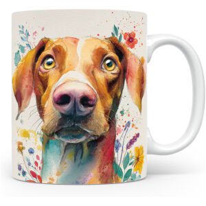 Italiaanse Jachthond (Segugio Italiano)