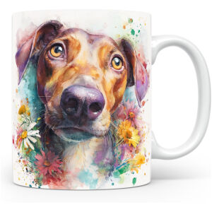 Italiaanse Jachthond (Segugio Italiano)