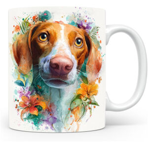 Italiaanse Jachthond (Segugio Italiano)