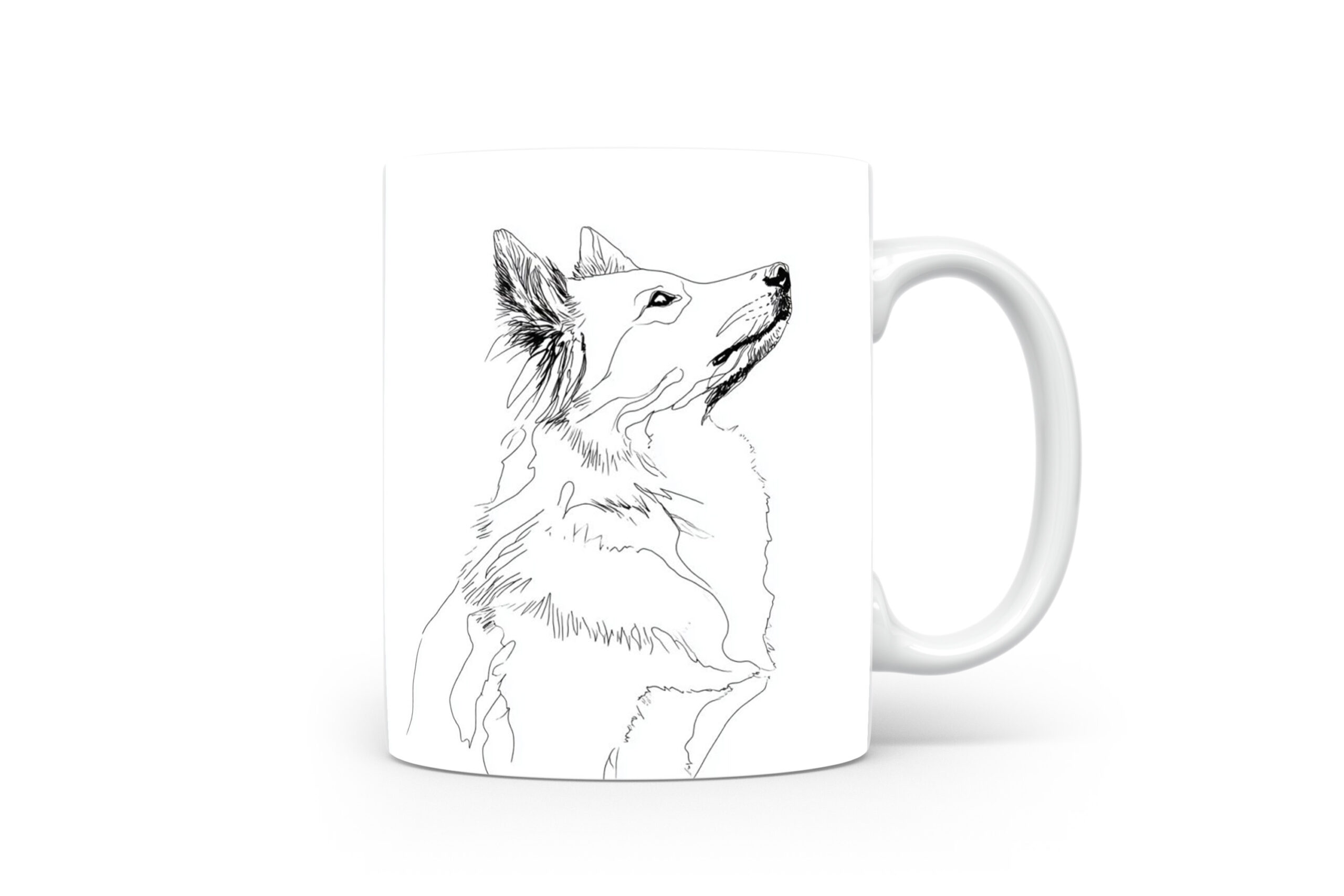 Beker Ijslandse Hond IJslandse Hond