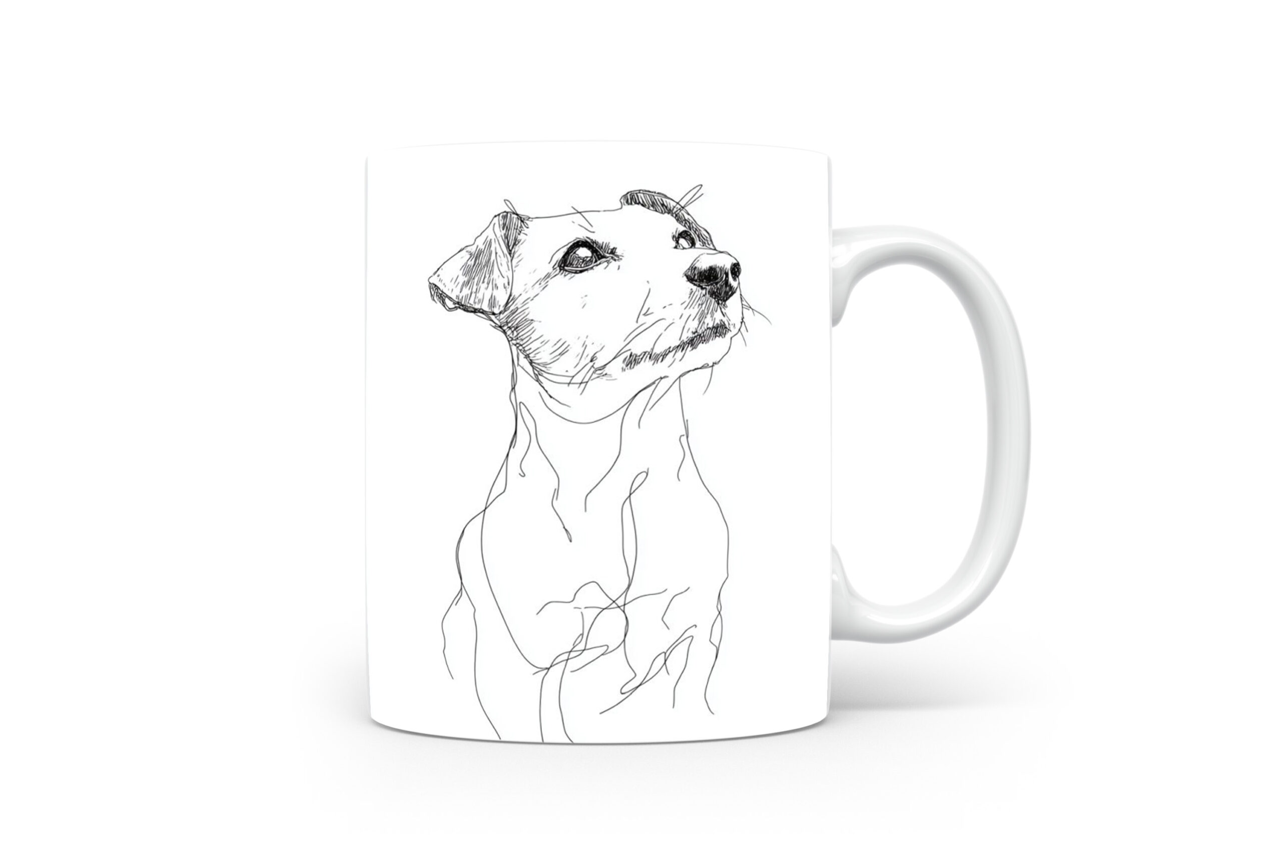 Beker Jack Russell Terriër Jack Russell Terriër