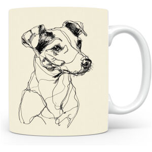 Jack Russell Terriër