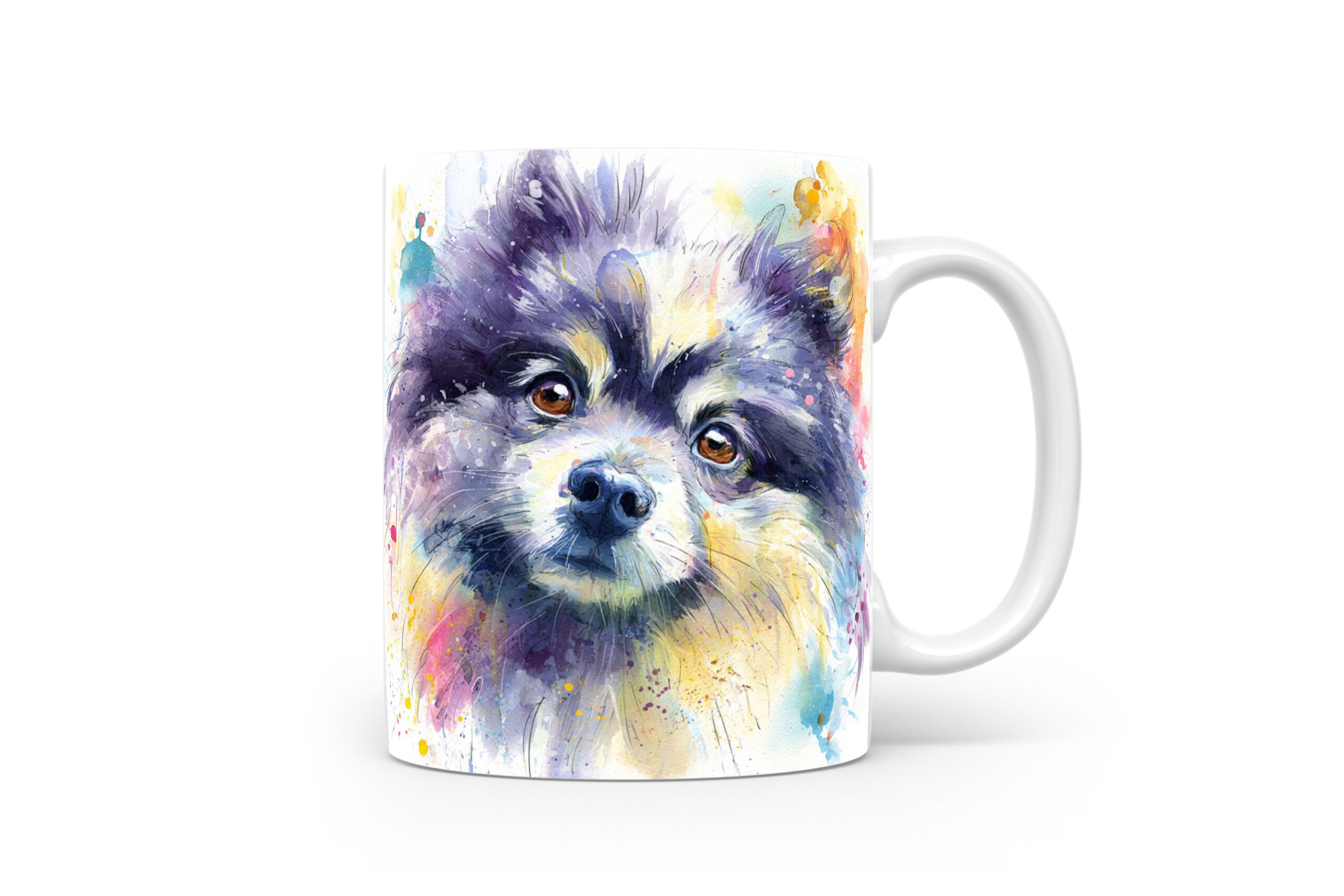 Beker Keeshond Keeshond