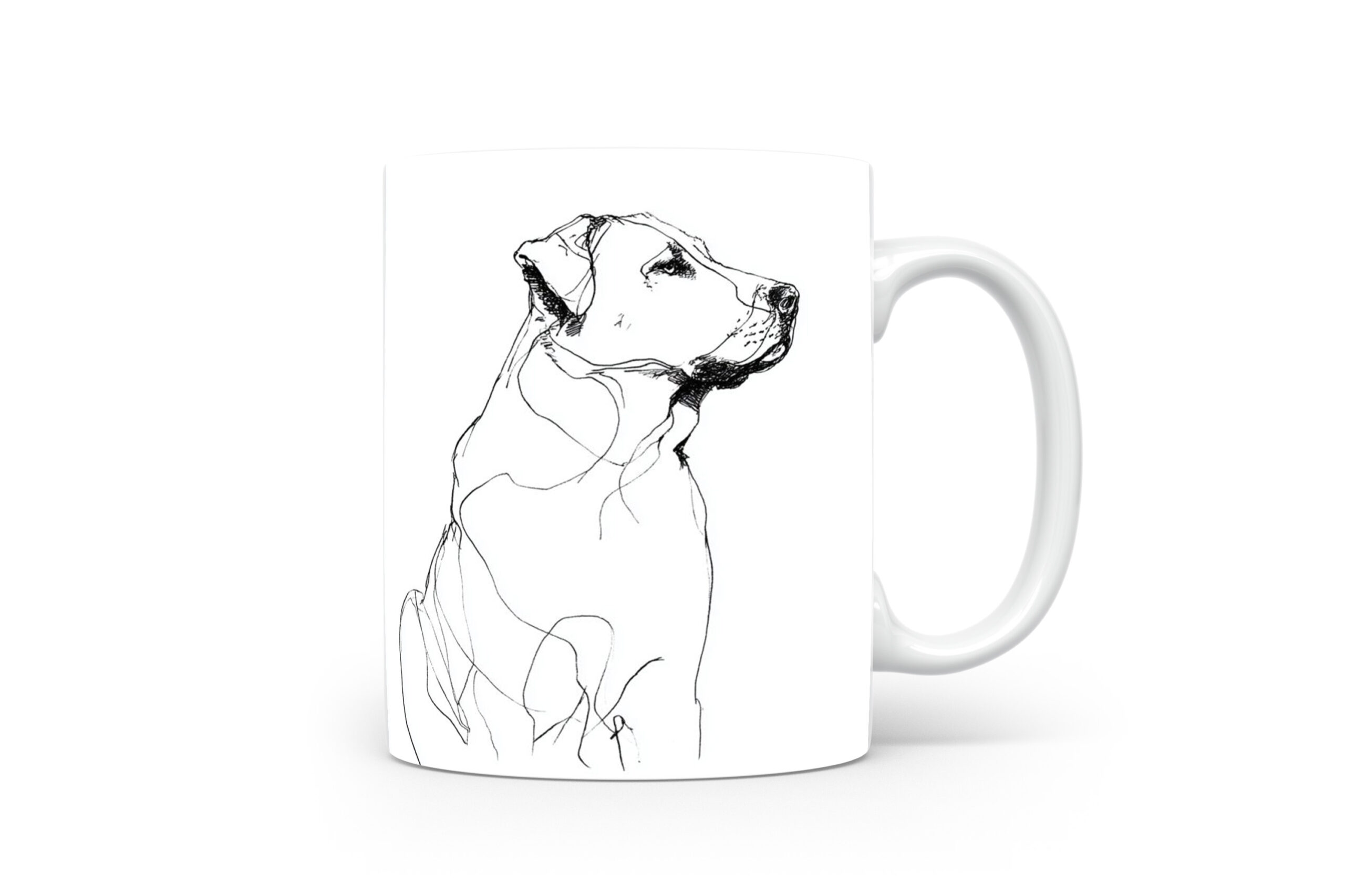 Beker Kangal Kangal