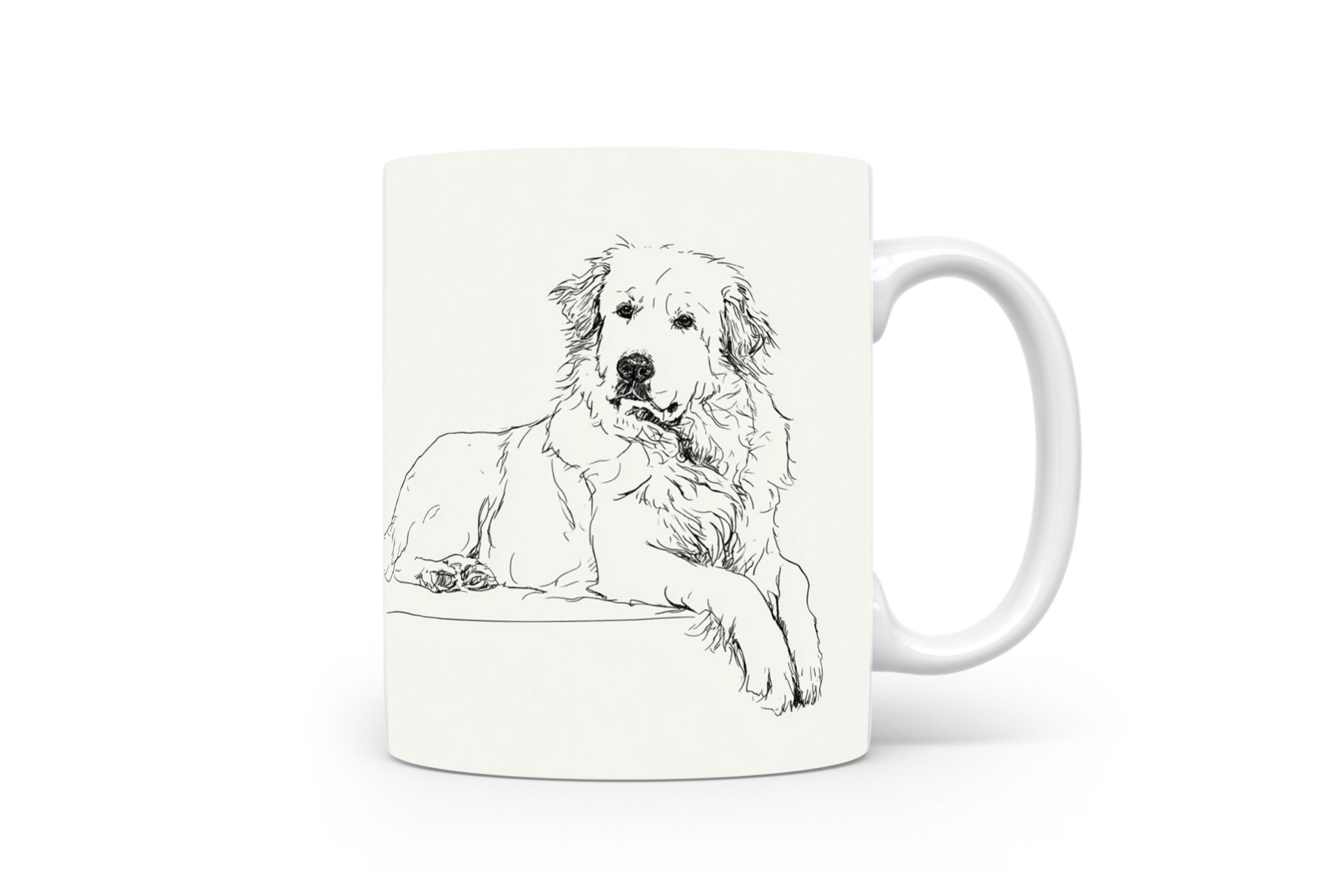 Beker Kuvasz Kuvasz