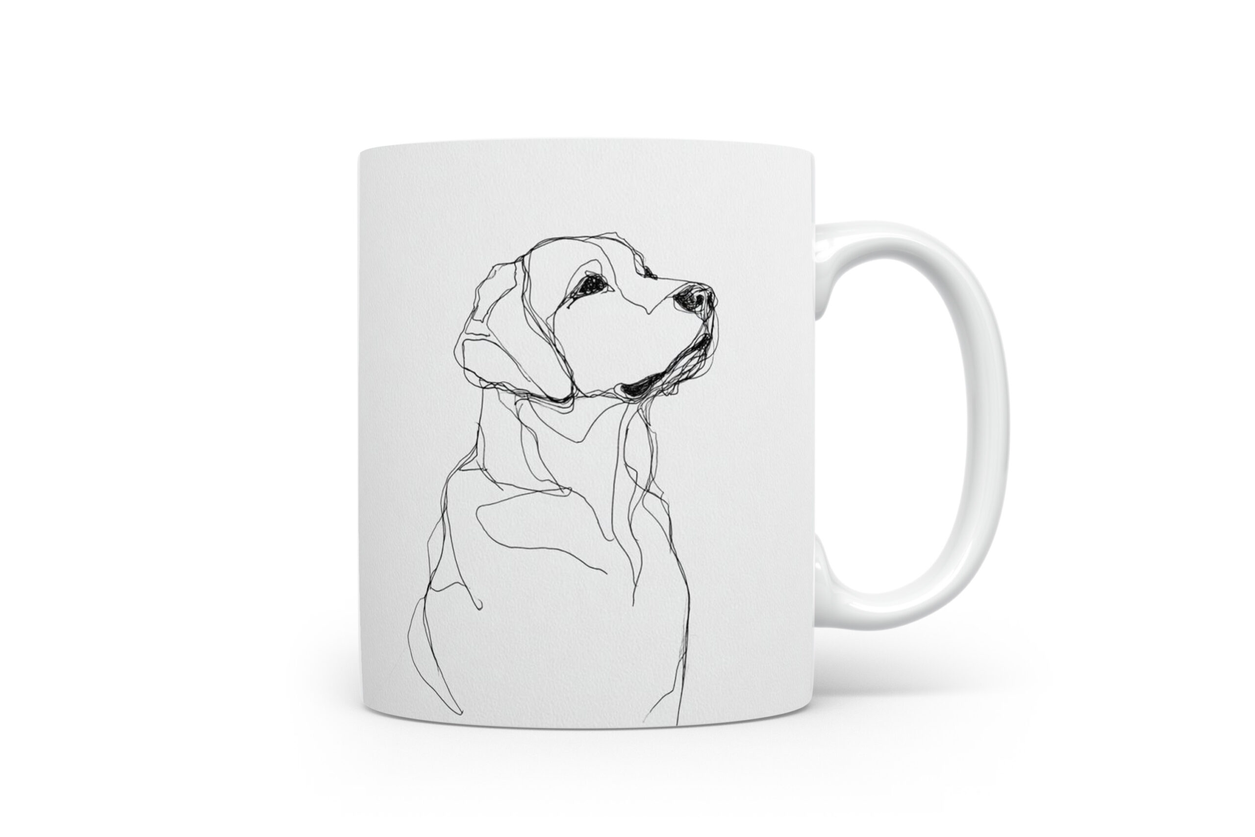 Beker Kuvasz Kuvasz