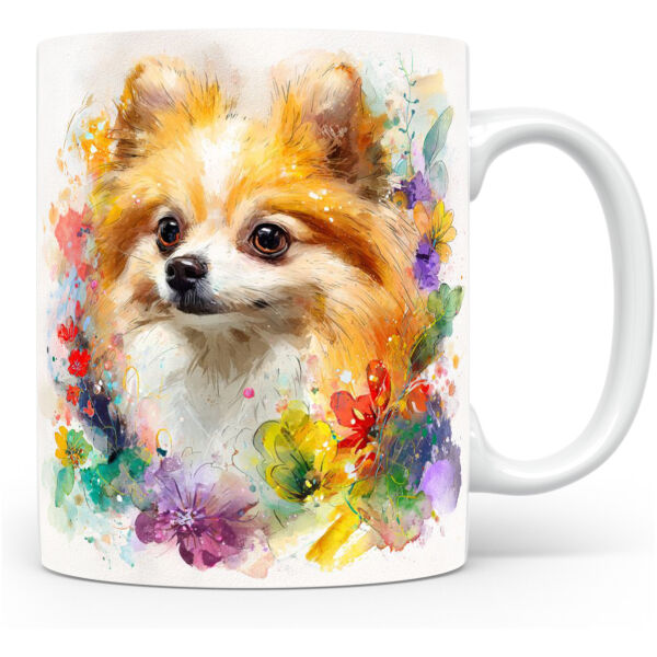 Beker Dwergspitz (Pomeranian) Dwergspitz (Pomeranian)