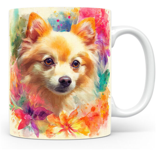 Beker Dwergspitz (Pomeranian) Dwergspitz (Pomeranian)