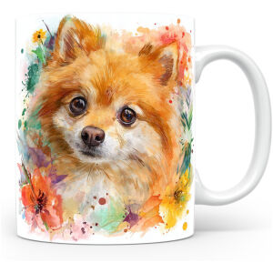 Dwergspitz (Pomeranian)