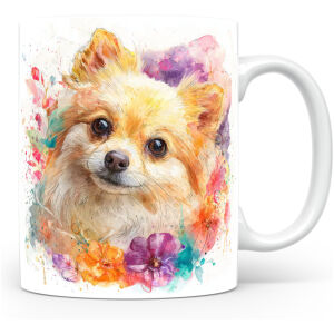 Dwergspitz (Pomeranian)