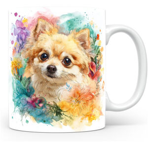 Dwergspitz (Pomeranian)