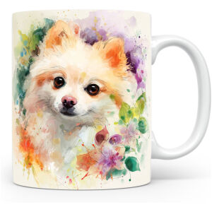 Dwergspitz (Pomeranian)