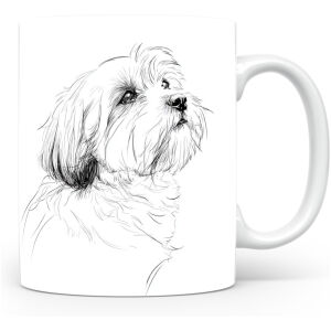 Lhasa Apso