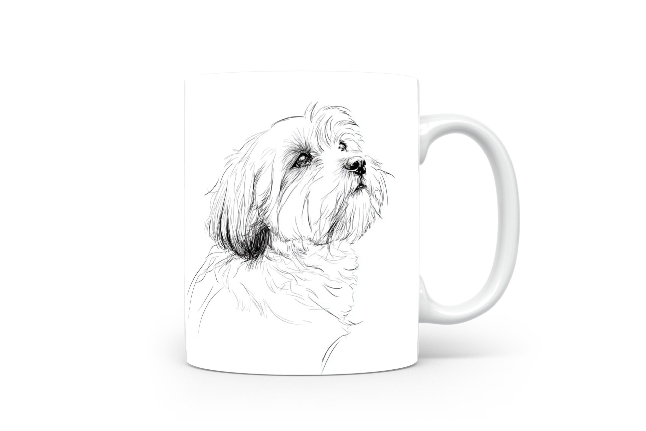 Beker Lhasa Apso Lhasa Apso