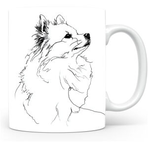 Dwergspits / Pomeriaan Kleinspitz