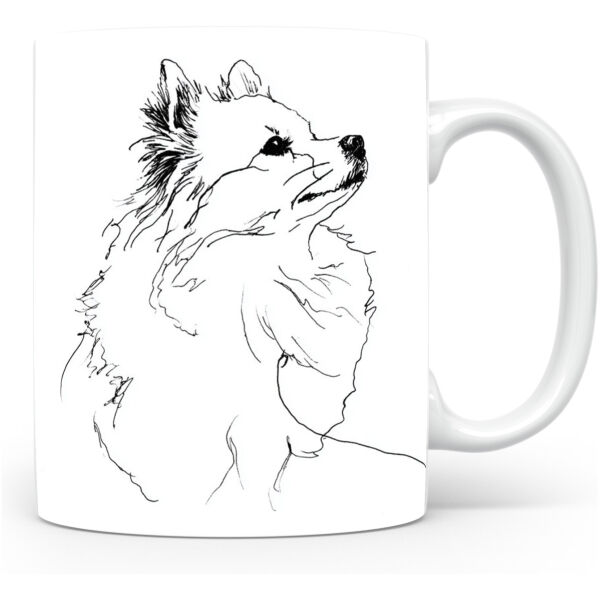 Dwergspits / Pomeriaan Kleinspitz