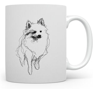 Dwergspits / Pomeriaan Kleinspitz