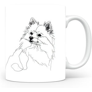 Dwergspits / Pomeriaan Kleinspitz