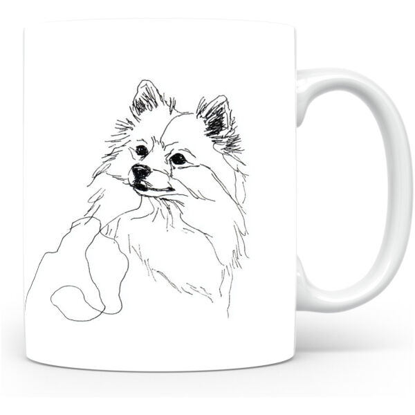 Dwergspits / Pomeriaan Kleinspitz